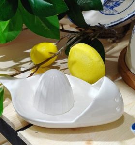آبلیموگیری جذاب و فانتزی کاربردی چینی لیمو