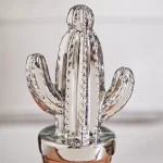 کاکتوس دکوری تزئینی دل سو هوم