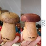 نمکدان نمکپاش چوبی مرغوب راش طرح قارچ قارچی ماشروم