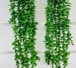 ریسه برگ آویز شمشاد